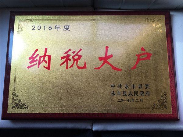 2017年納稅大戶