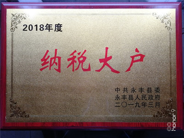 2018年納稅大戶