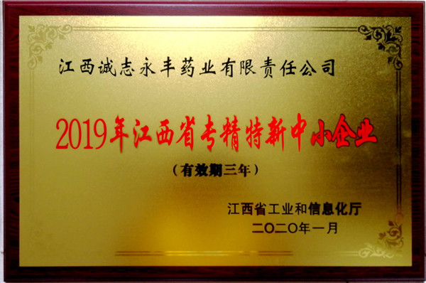 2019年江西專精特新中小企業(yè)